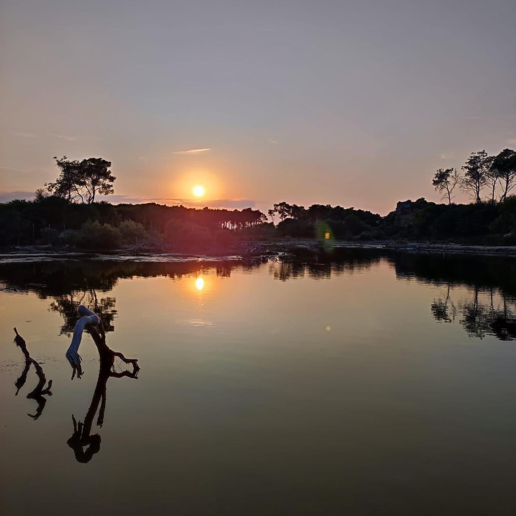 Villa Maniva Marina di Ginosa Ngoại thất bức ảnh